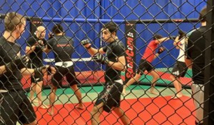 Saint-Girons. MMA : le Dojo du Couserans accueillera le premier championnat de France éducatif et amateur